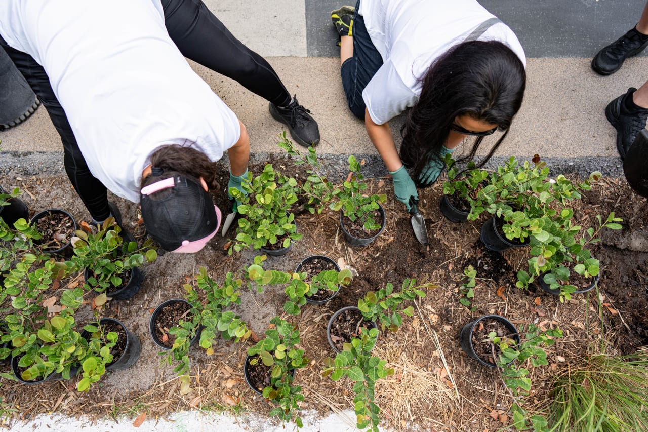 Tree Planting at The Underline 1