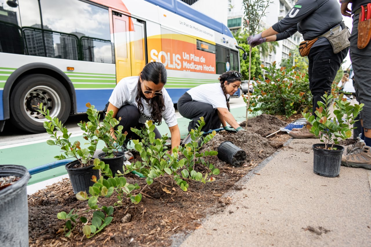Tree Planting at The Underline 8