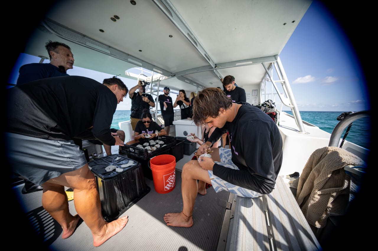 World Oceans Day (1)