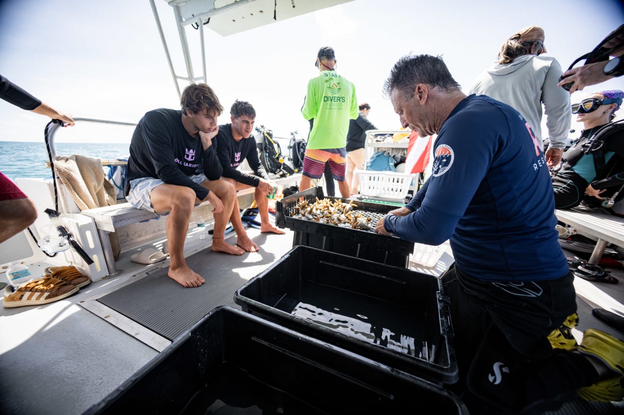 World Oceans Day (3)